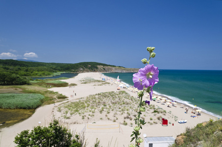 溅起的浪花上海滩保加利亚海边风景