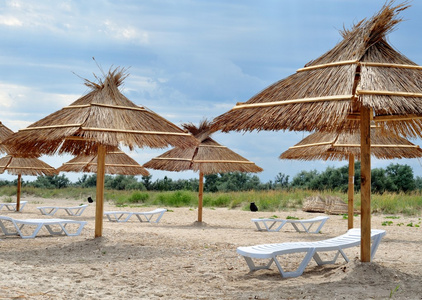 在海滩上的茅草顶遮阳伞
