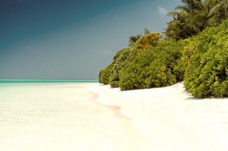 Thoddoo 岛的沙滩，马尔代夫阿利夫阿利夫环礁