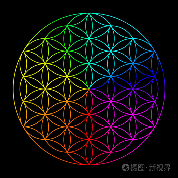 彩虹的生命之花