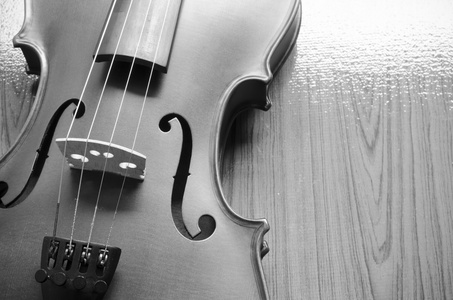 黑色和白色小提琴图片