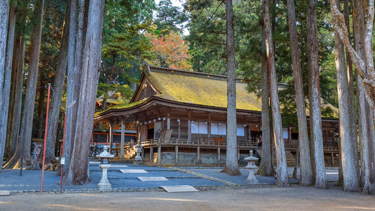 danjo 伽蓝殿在和歌山县高野山地区，日本