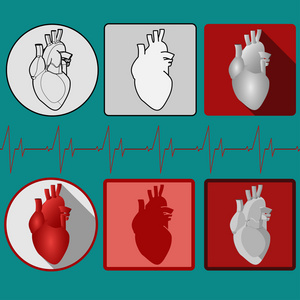 人类的心脏图标与心电图矢量