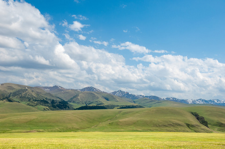 山山山。 哈萨克斯坦。 天山。 亚述高原