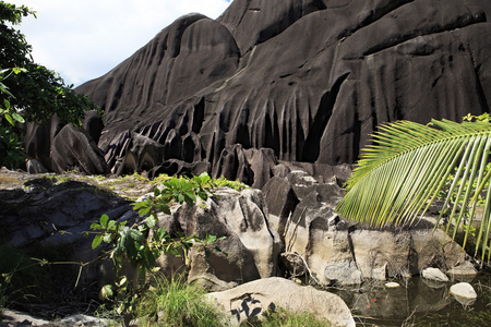 巨大的黑色花岗岩岩石中的热带植被灌丛