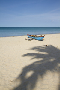 在斯里兰卡的乌普韦利海滩