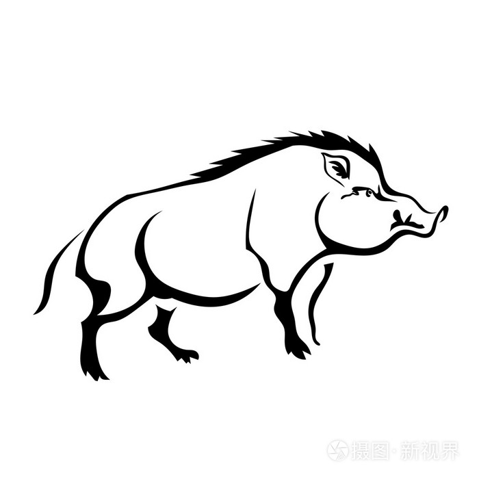白色背景上的黑色剪影野猪.隔离.矢量插画-正版商用1i