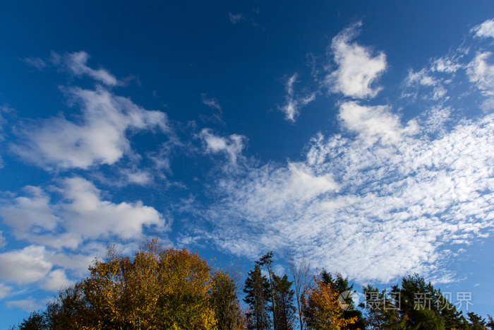 深蓝色的天空色彩缤纷秋天的树木