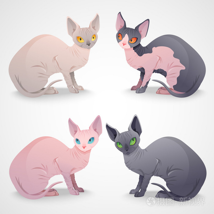 斯芬克斯之猫