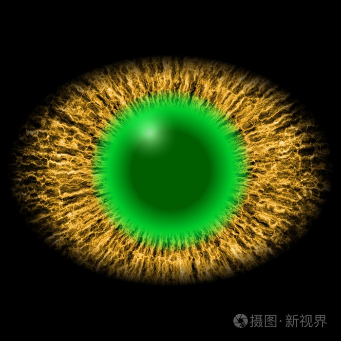 孤立的动物眼睛.棕色虹膜周围瞳孔, 绿色瞳孔和明亮的绿色视网膜