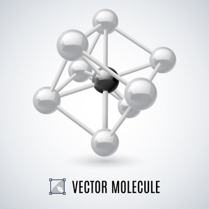 白色的分子结构