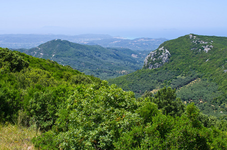 小山科孚岛，希腊橄榄果园