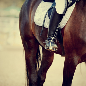 运动员的马镫的脚图片