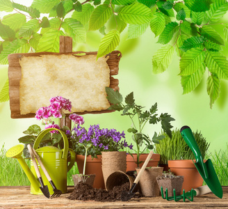 户外园艺工具和植物图片