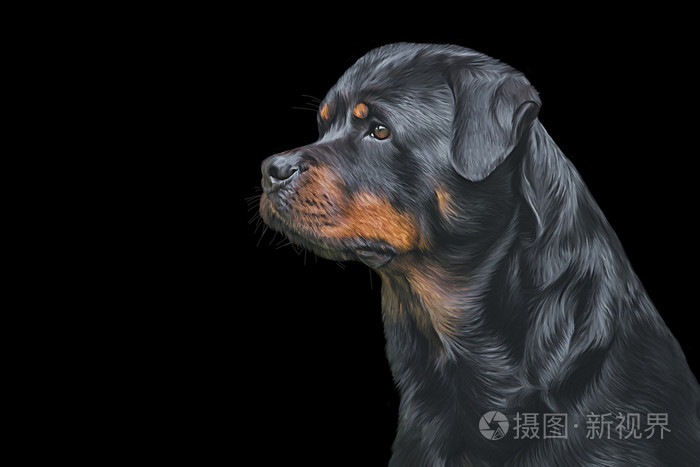绘图的狗罗威纳犬三色旗肖像