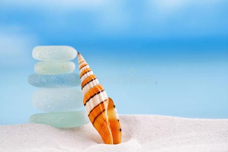 明亮的条纹海贝，带海玻璃的海滩和海景