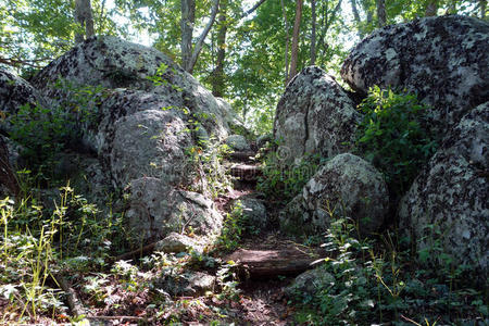穿过森林中的岩石通道