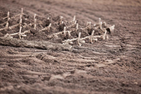 领域 工作 犁地 纹理 土壤 特写镜头 农场 拖拽 耙子