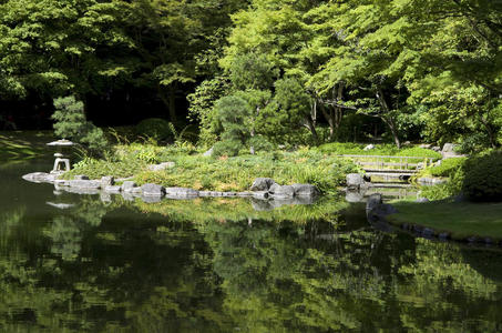 有池塘和树木的日本花园