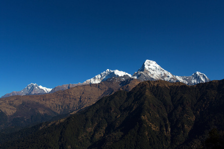 Machhapuchchhre 山鱼尾巴在英语中是一座山