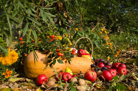 秋天的水果和蔬菜的静物