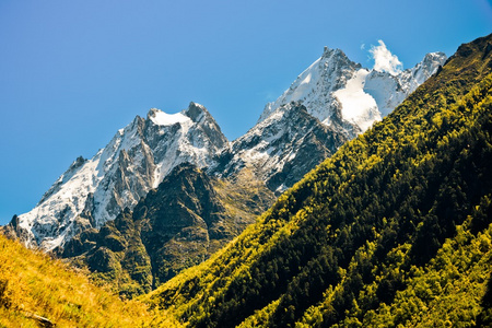 高加索山脉