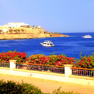 美丽的海景，红海埃及