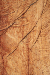 老式的棕色木背景纹理