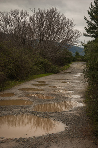 Evbia 大雨后的春天路