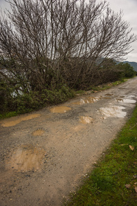 Evbia 大雨后的春天路