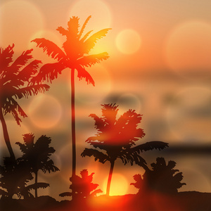 与岛和棕榈树海上日落图片