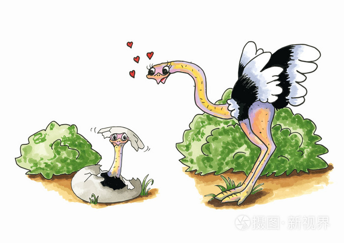 与年轻的鸵鸟