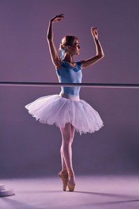 经典芭蕾舞芭蕾舞巴利在摆姿势图片