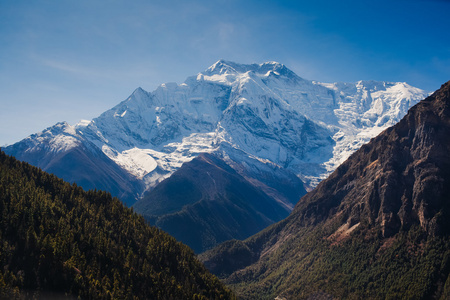 如画的风景，在尼泊尔的安纳布尔纳山的道路上。安纳布尔纳徒步路径