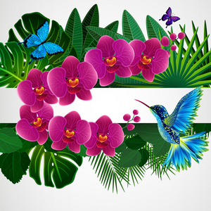 花艺设计背景。兰花花和鸟，蝴蝶