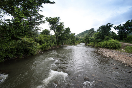 与山树景观和一条河在前面