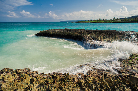 野生的加勒比海滩。多米尼加共和国。在多米尼加共和国的热带沙滩。宁静的度假村。在热带海滩，加勒比海上的棕榈树。在日落的时候在塞舌尔