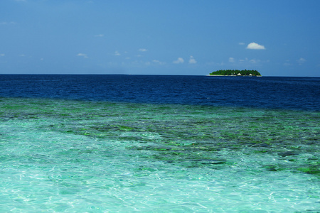 海洋水背景