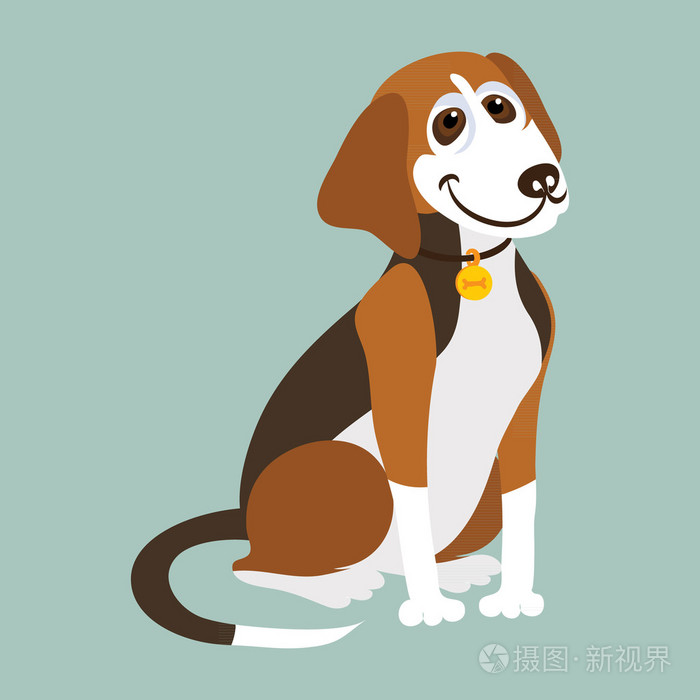 南斯拉夫三色猎犬