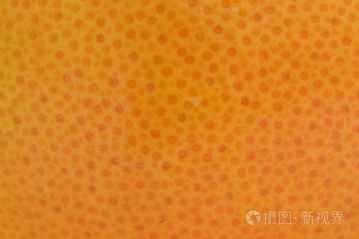 橘子和其他柑橘皮肤的纹理