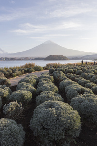 秋天的时候，日本的富士山