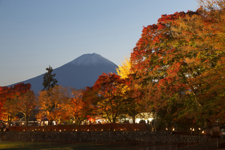 在 Nashigawa 河，日本枫树走廊