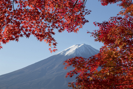 枫树叶改在富士山，日本的秋天色彩