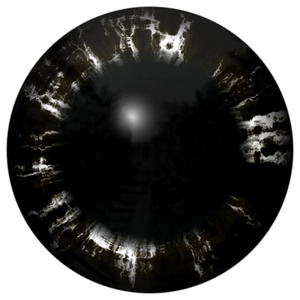黑色剥离的眼虹膜，反射光线的黑暗小扁豆的插图