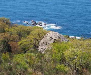 黑海海岸