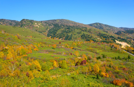 八岛台山红叶