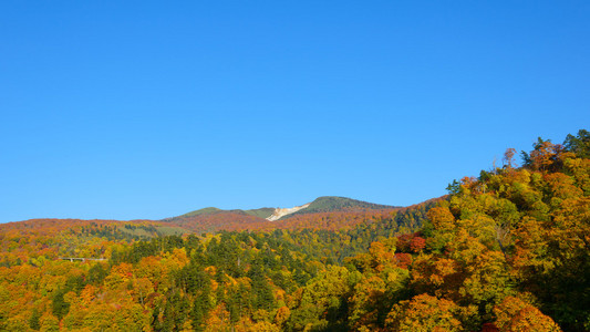 八岛台山红叶