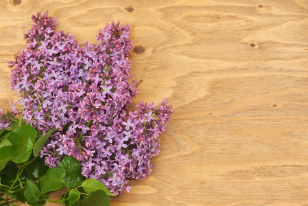 紫丁香鲜花旧漆木制表面上