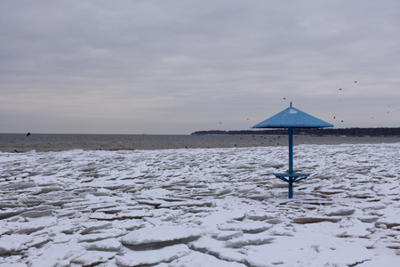 在海滩上的雪和冰冬季沿海景观