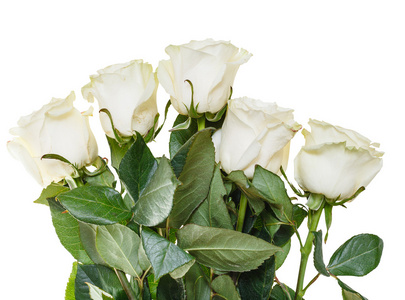 孤立的白玫瑰花束的侧视图图片